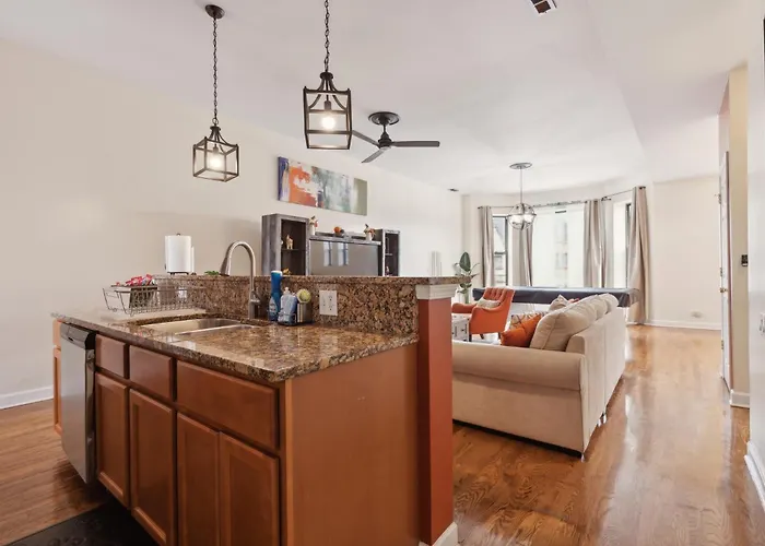 Near Downtown & Uchicago Apartment