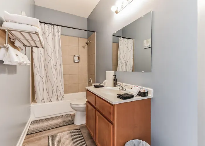 Near Downtown & Uchicago Apartment Chicago